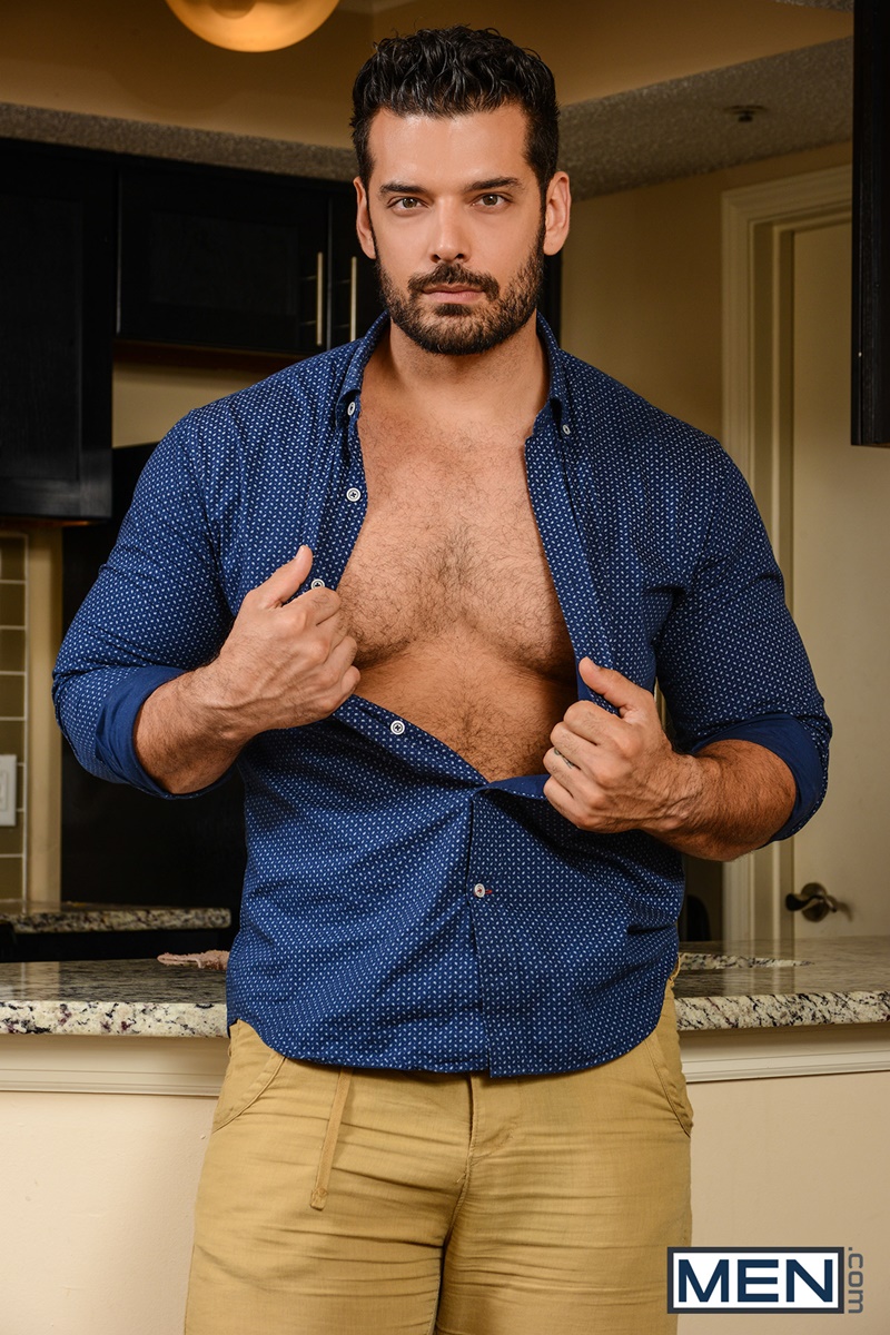 hottest hairy gay porn stars